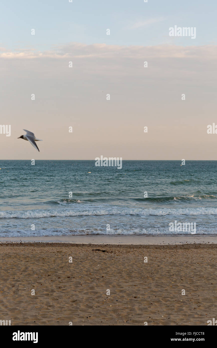ein Abendlicht, Blick auf einem Steg am Strand mit Sand getroffen Stockfoto