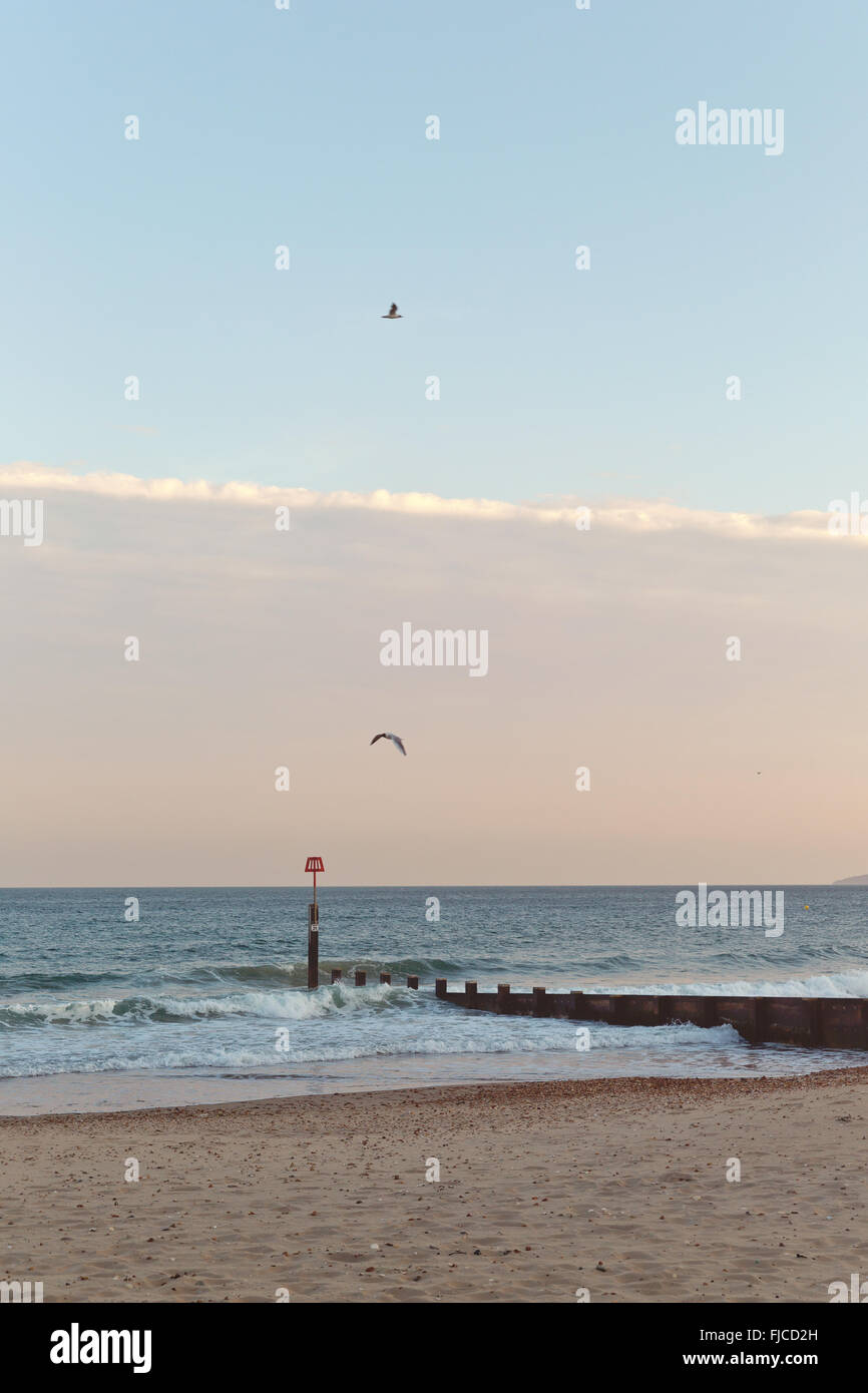 Zwei Vögel fliegen in den Himmel am Meer, am Strand mit Sand und ein Flugzeug-Cloud auf einem Winkel in den Himmel ich goldene Abendlicht Stockfoto