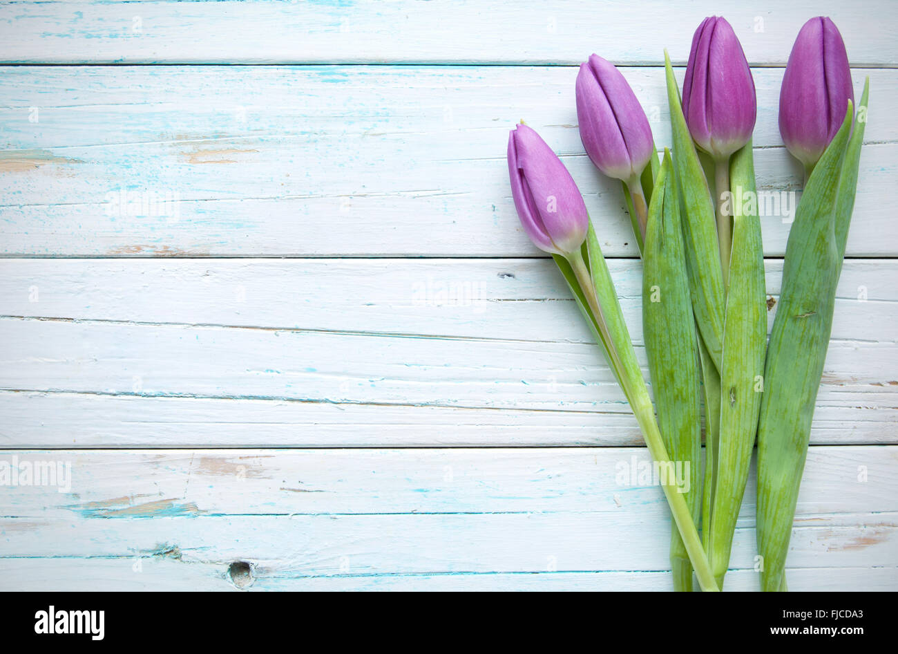 Tulpen auf einem hölzernen Hintergrund mit Raum Stockfoto