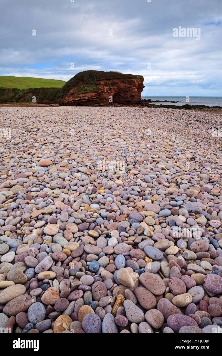 Steinige Küste von Budliegh Salterton, South Devon Stockfoto