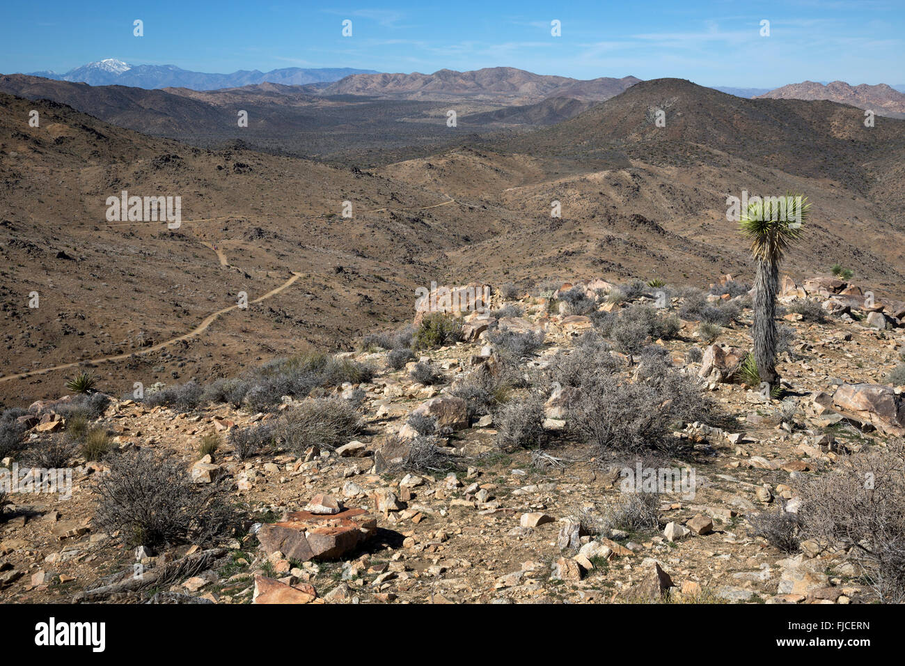 malerische Landschaft auf dem Lost Host Mine Trail, Joshua Tree Nationalpark Kalifornien Stockfoto