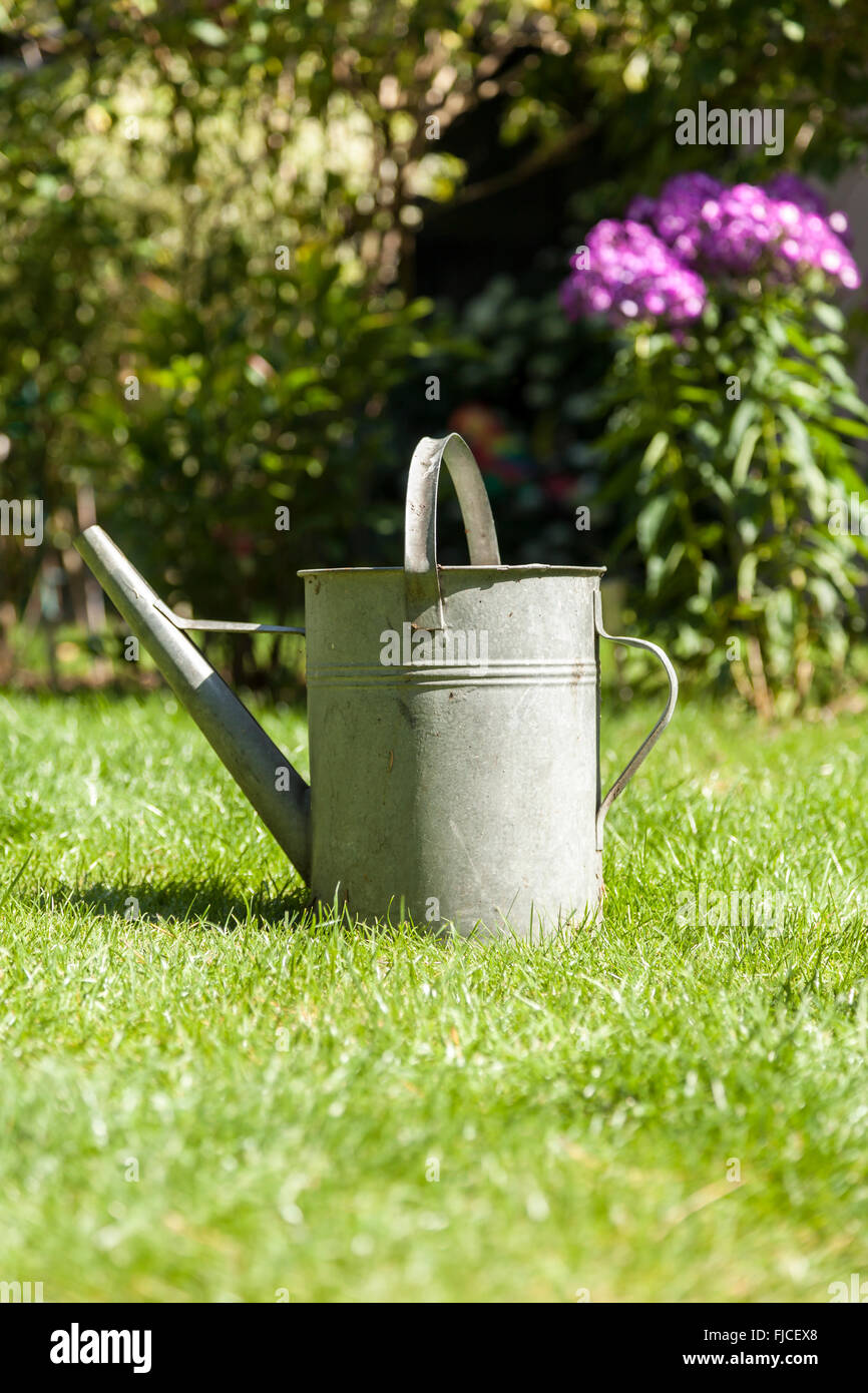 Gießkanne im Garten im Sommer Stockfoto