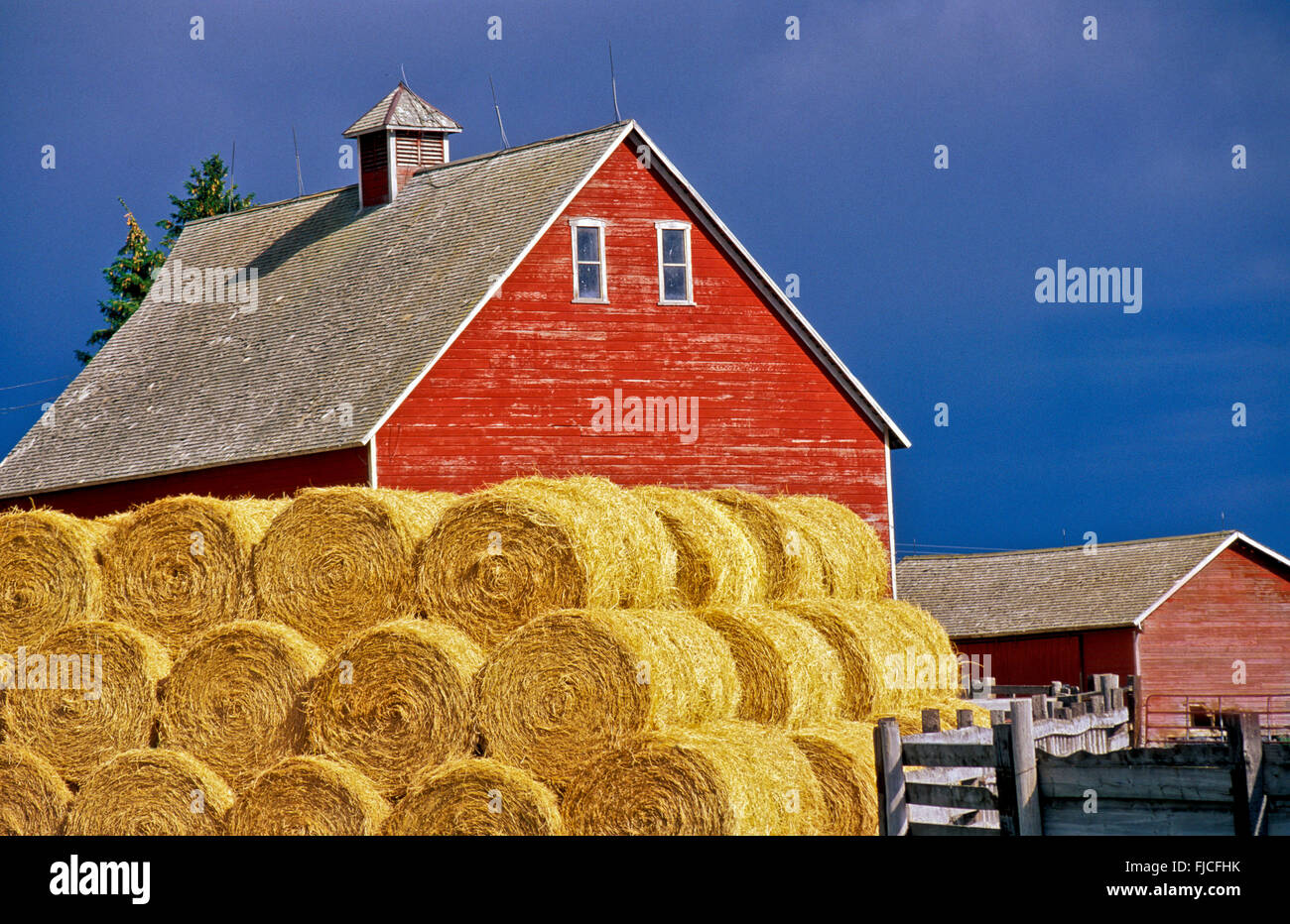 Rollen von gestapelten Heu Bails und rote Scheune auf Farm in Idaho. USA Stockfoto