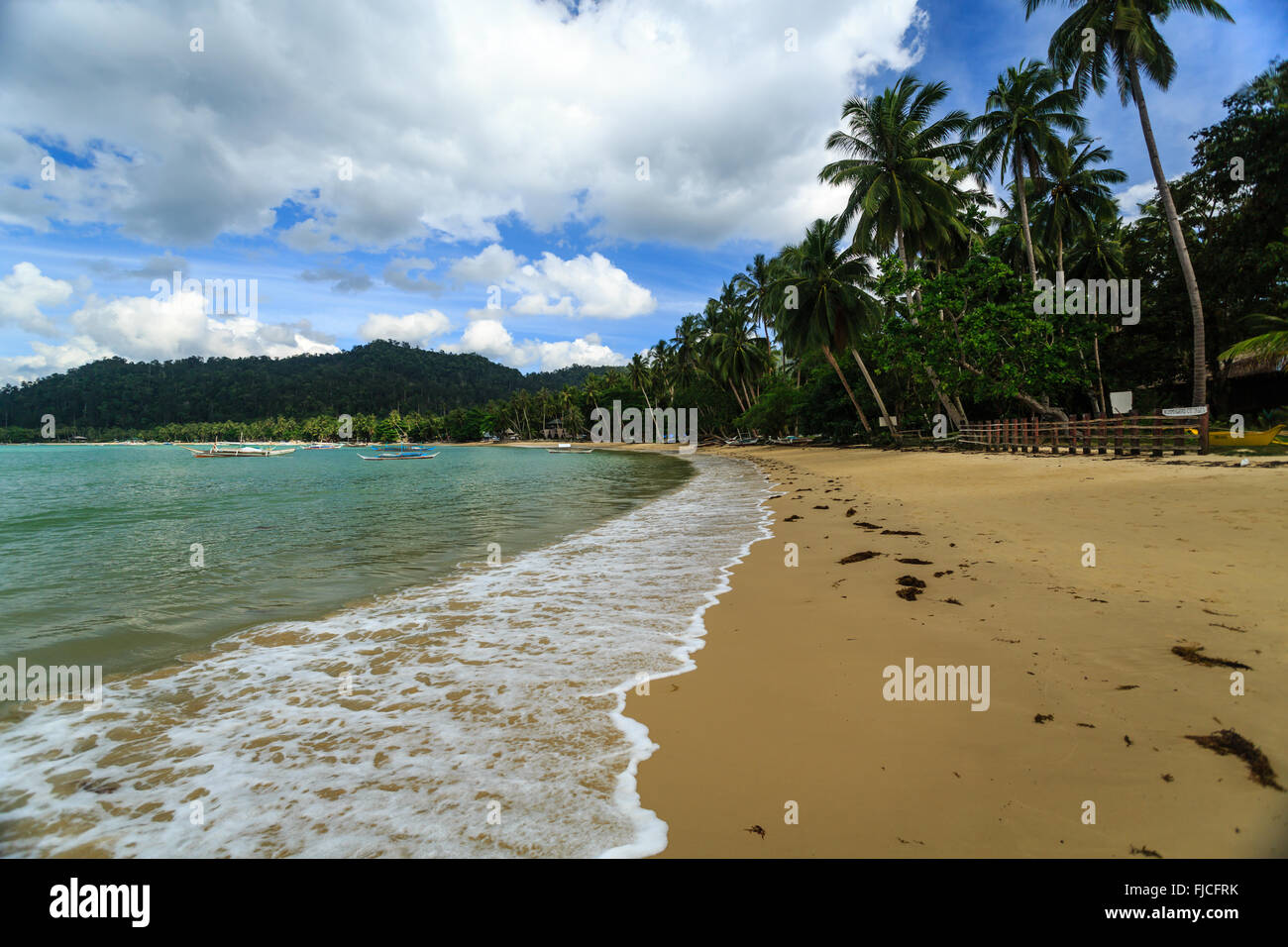 Wellen zum Absturz auf geschwungenen tropischen Strand mit Palmen gesäumten Stockfoto