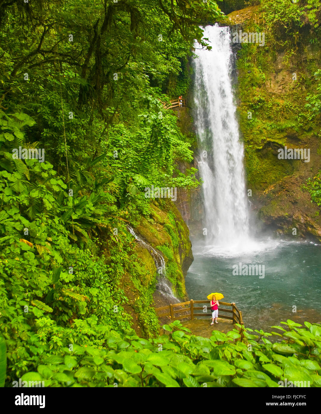 Person mit gelben Regenschirm auf La Paz Wasserfall Garten. Spektakuläre Magiia Blanca Wasserfälle, Costa Rica Stockfoto