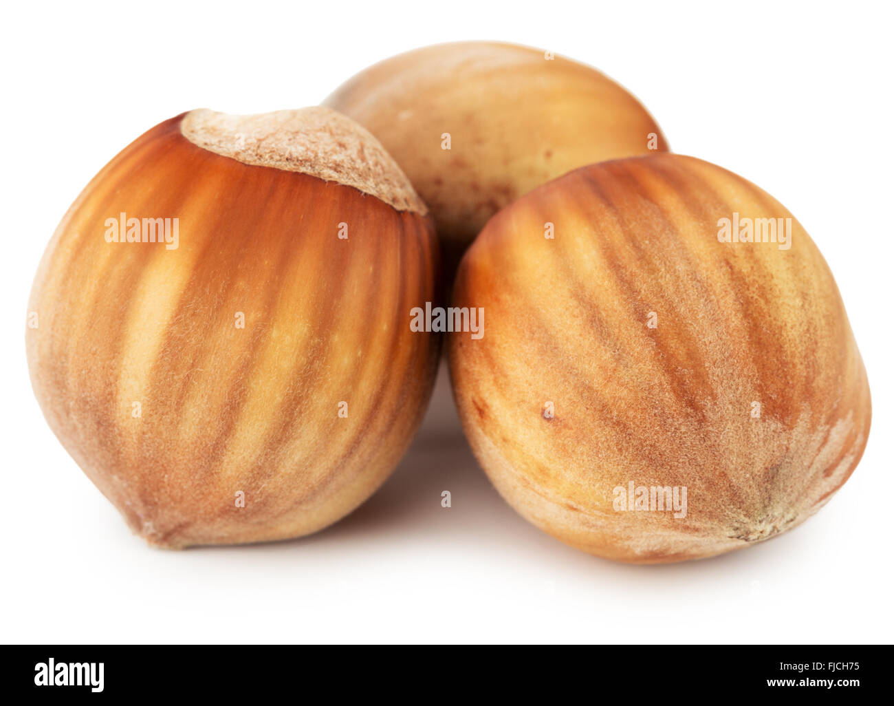 Haselnüsse auf dem weißen Hintergrund isoliert. Stockfoto