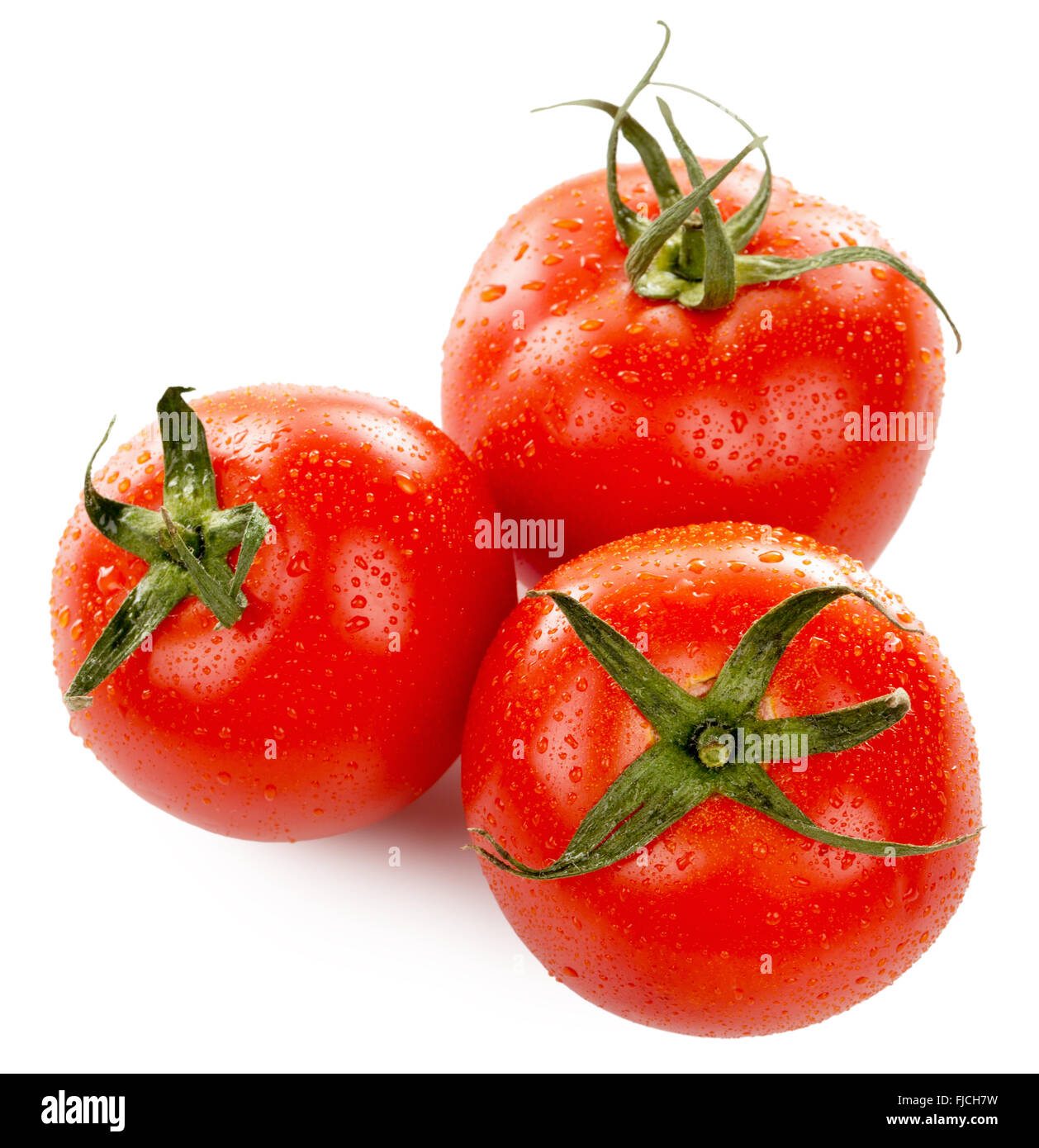 Tomaten mit Wassertropfen auf dem weißen Hintergrund isoliert. Stockfoto