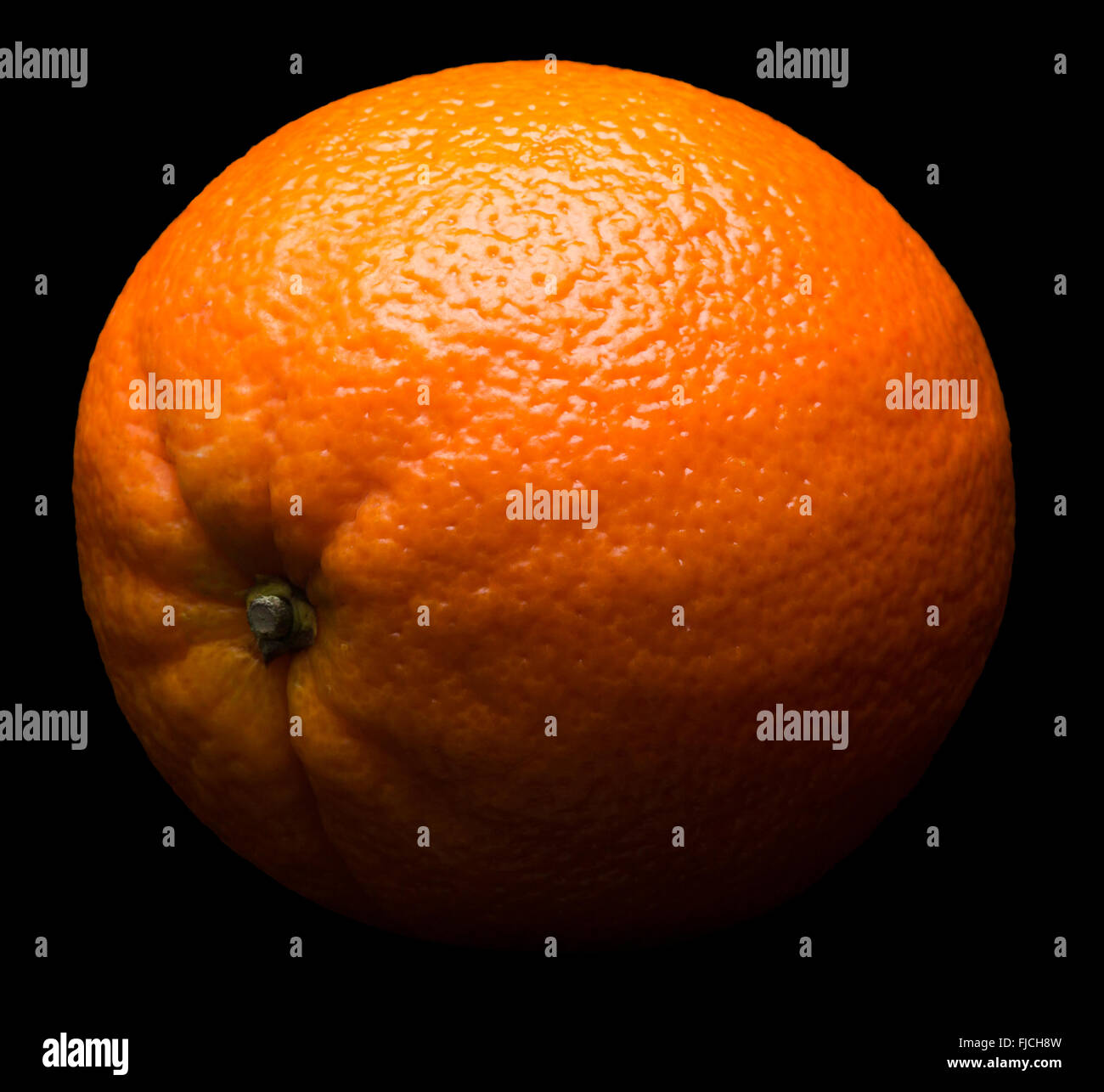 Orange auf dem schwarzen Hintergrund. Stockfoto