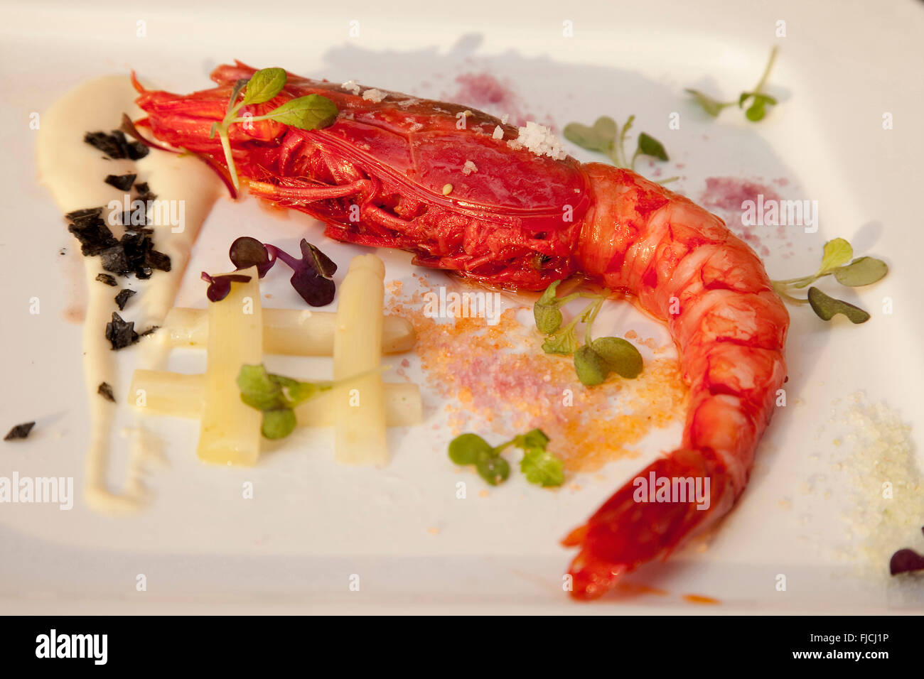 Carabineros con Flor de Sal, Scarlet Garnelen mit Fleur de Sel Navarra, Spanien Stockfoto