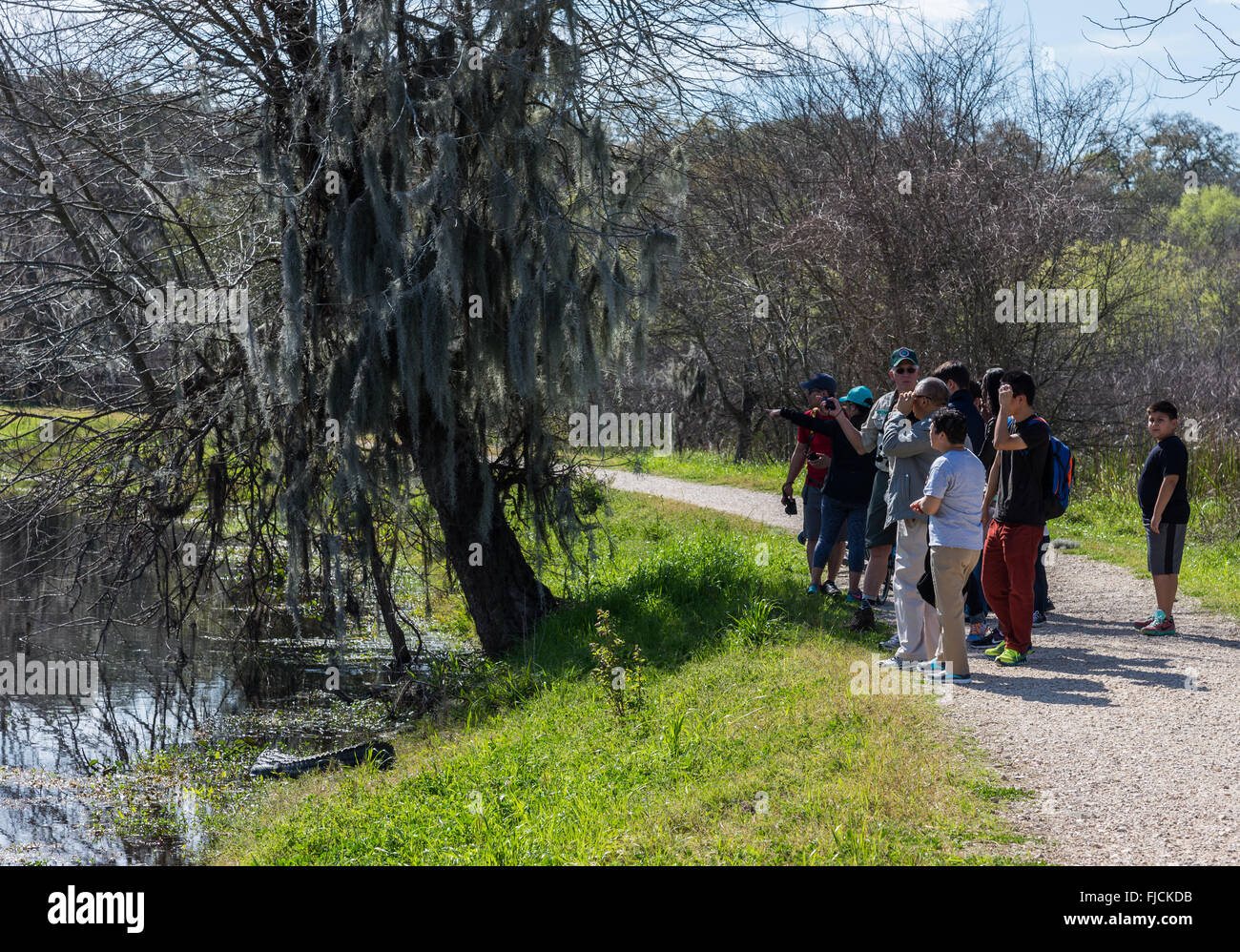 Freiwilligen Ranger führt eine Gruppe von Besuchern im Brazos Bend State Park in Houston, Texas, USA. Stockfoto