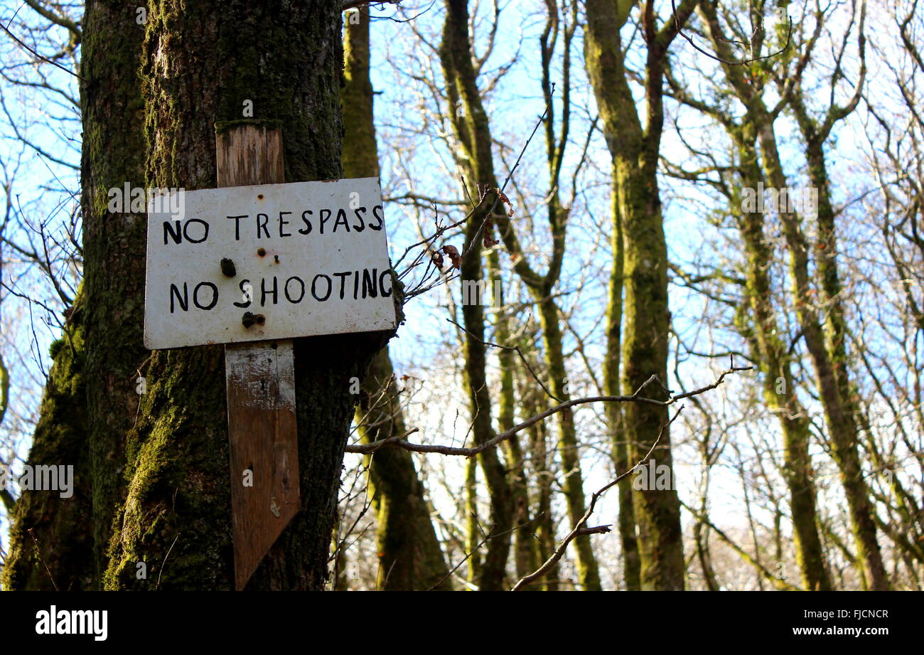 Lustige Schild im Wald in den Wicklow Mountains, Irland Stockfoto