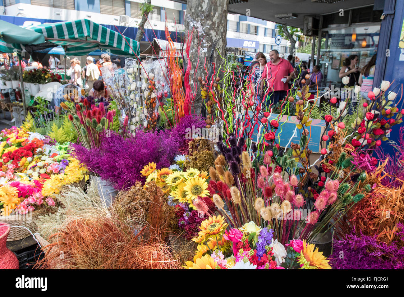 Montevideo-Markt mit bunten Trockenblumen. Montevideo, Uruguay. Stockfoto