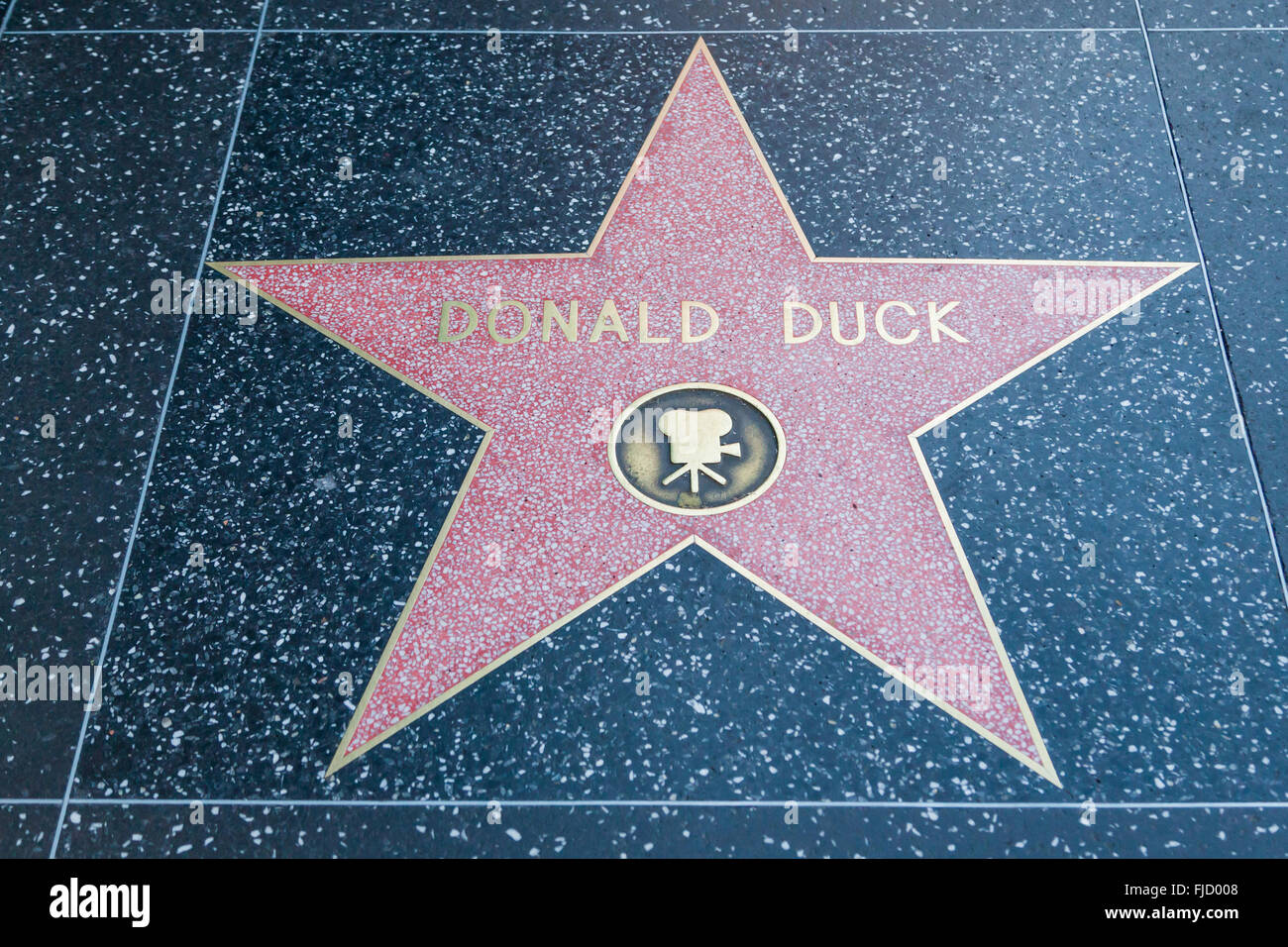 HOLLYWOOD, Kalifornien - 8. Februar 2015: Donald Duck Hollywood Walk of Fame Stern am 8. Februar 2015 in Hollywood, Kalifornien. Stockfoto