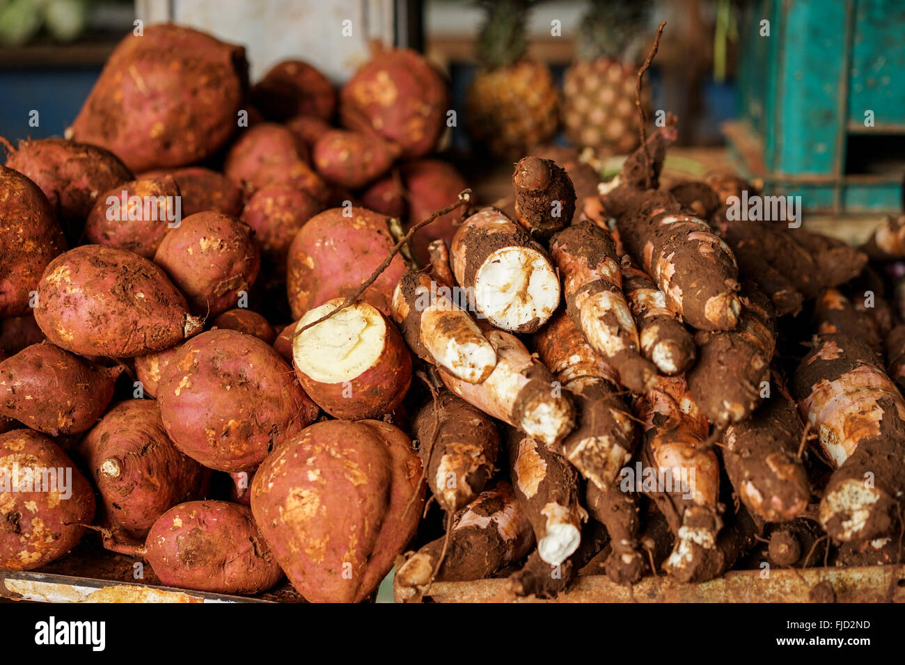 Gemüsemarkt mit einem Haufen von Süßkartoffeln, Süßkartoffeln und ähnliche genießbare Wurzeln Stockfoto