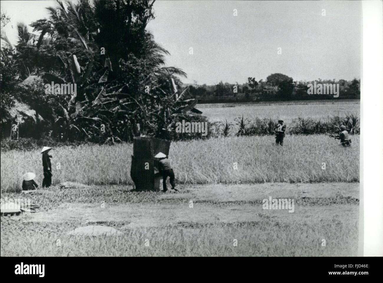 1968 - die Ernte zu schützen. Koren Gewehrschützen Dienst in Vietnam stehen Wache, während Landwirte in ihrer Reisernten erfasst, und Hand thresh es in einen tragbaren Wicker "Maschine". Die Soldaten schützen die Bauern von Viet Cong '' Zöllner © Keystone Bilder USA/ZUMAPRESS.com/Alamy Live-Nachrichten Stockfoto