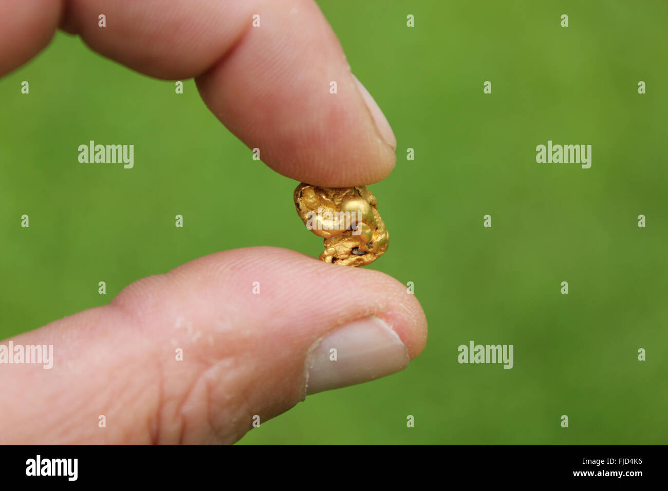 Gold Nugget, echtes gold, Goldnugget aus Bergbau Stockfoto