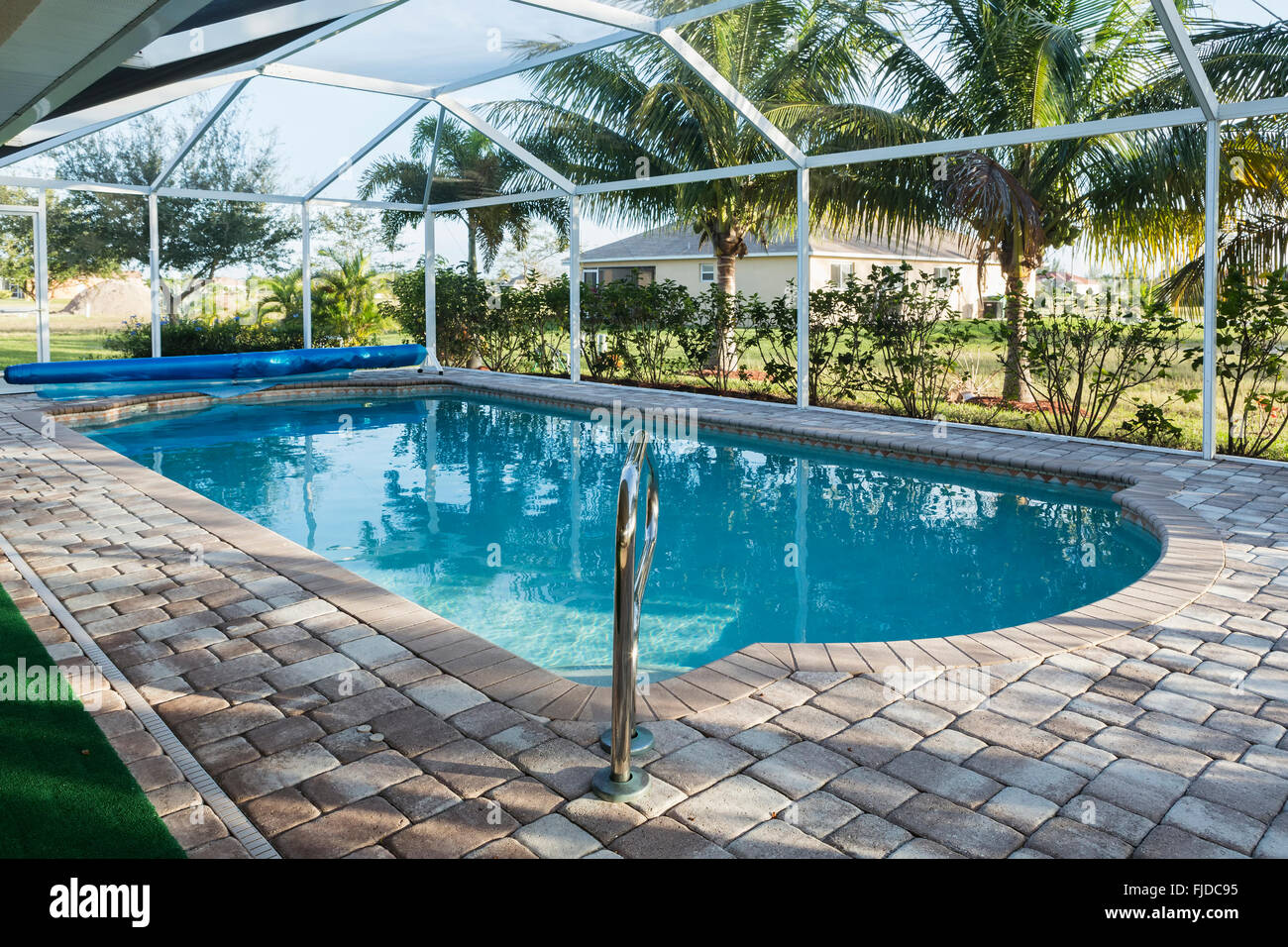 Home schönes Schwimmbad mit blauem Wasser und Palmen, Florida Stockfoto