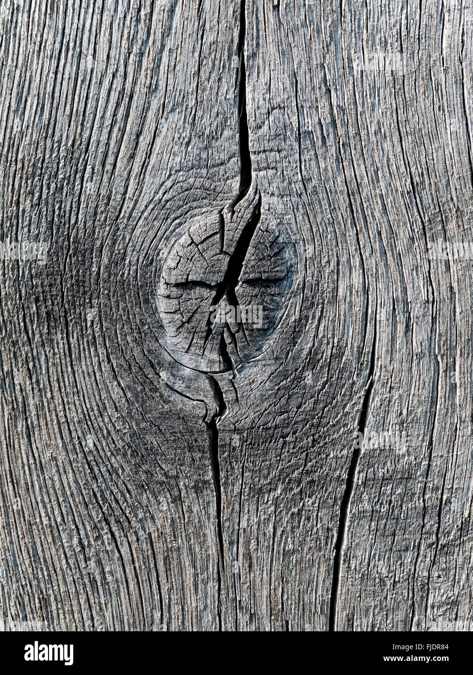 Holzpfosten abstrakt. Stockfoto