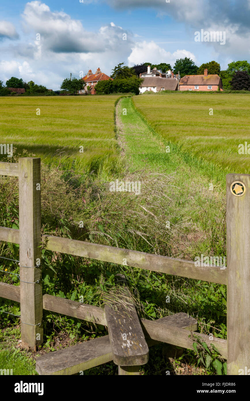Rechts des Weges über ein Feld in dem Dorf Witchampton, East Dorset, England Stockfoto