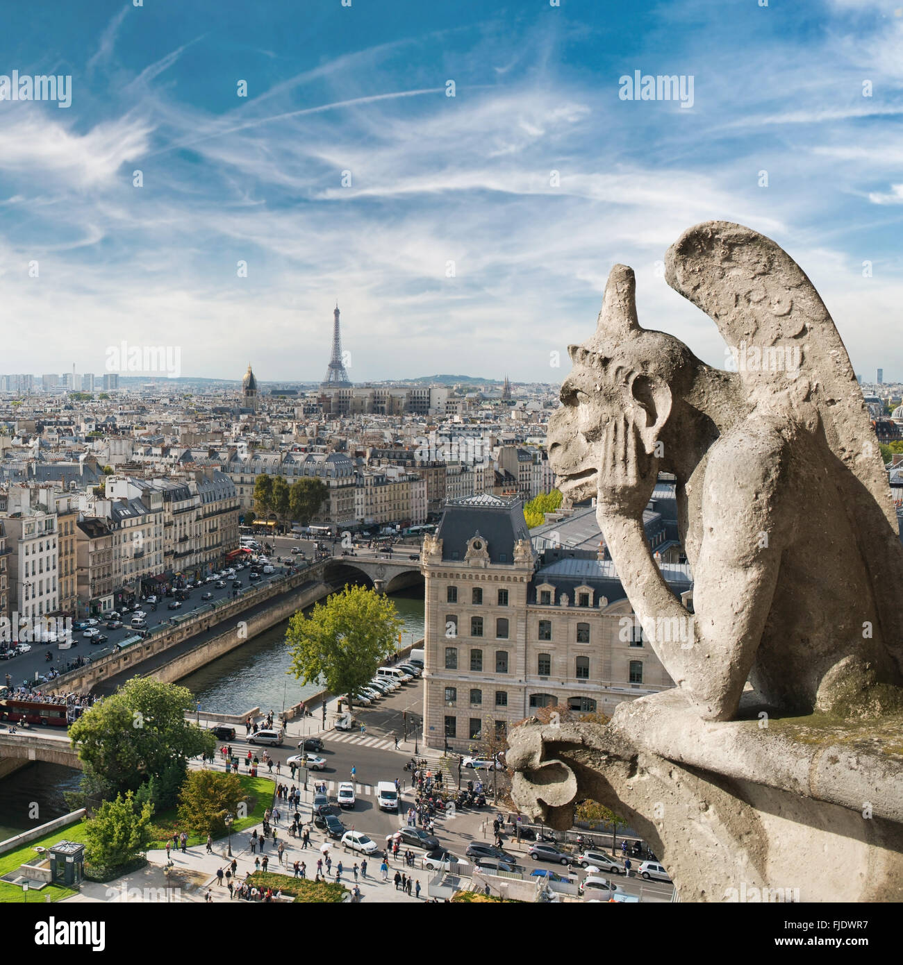 Wasserspeier und Stadt-Blick vom Dach von Notre Dame de Paris Stockfoto