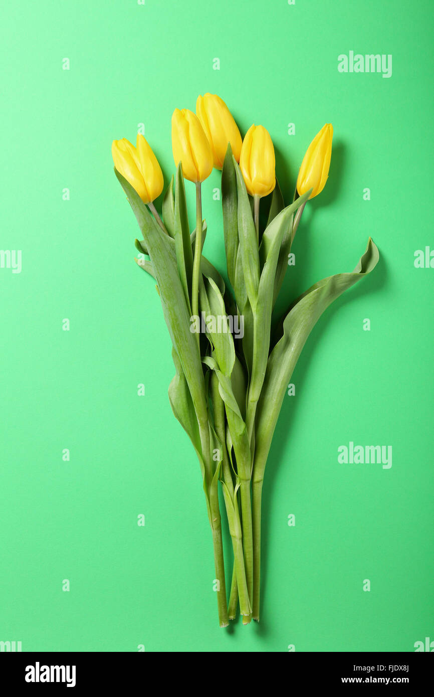 frische gelbe Tulpen auf grün, Blüten Stockfoto