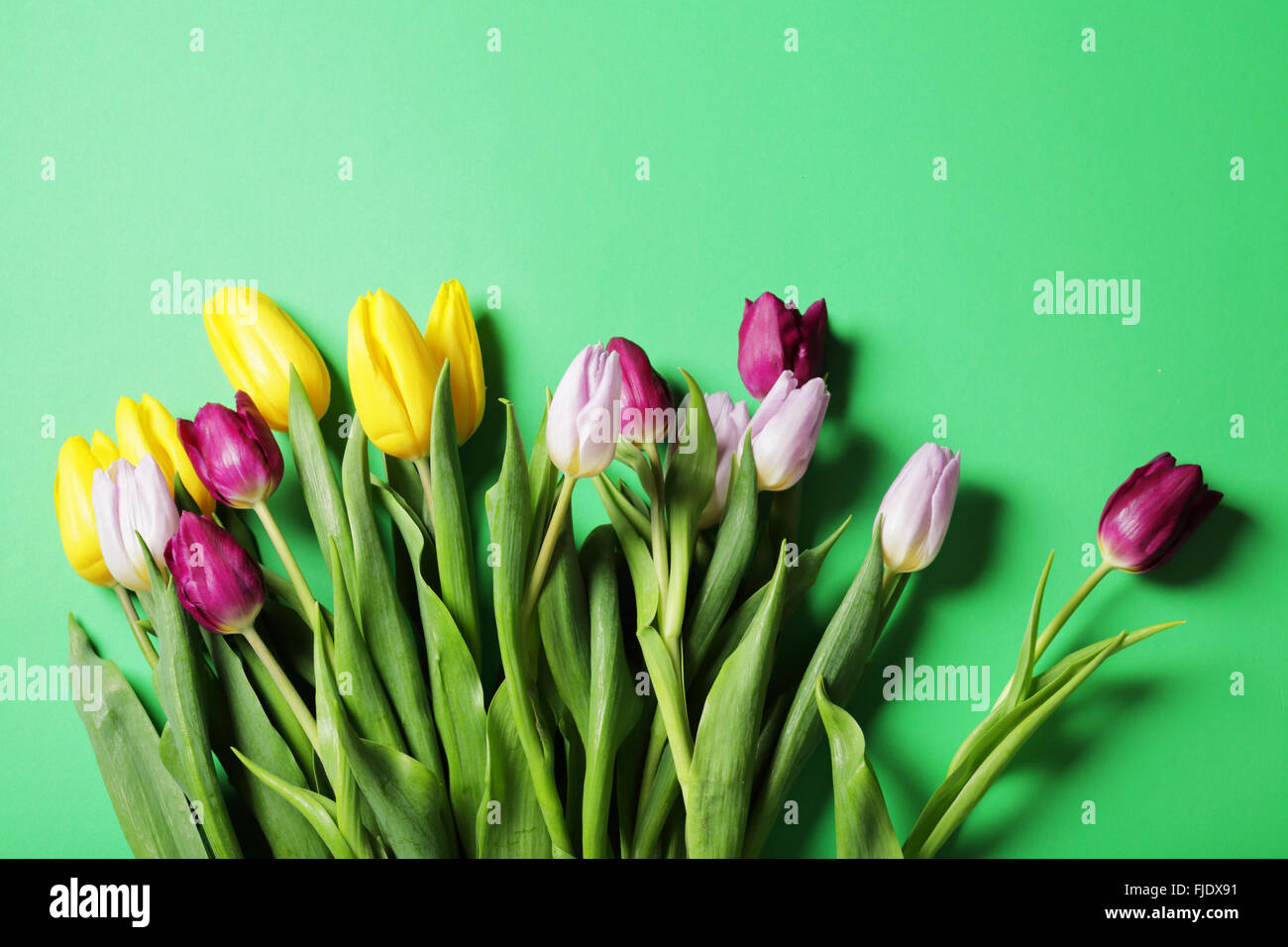 großer Strauß Tulpen auf grünem Hintergrund Stockfoto