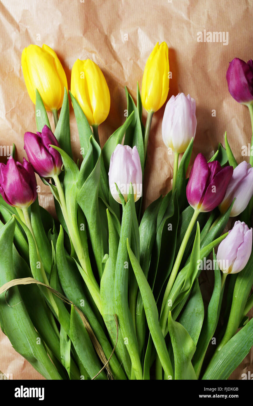 frischen Frühlingsblumen auf Kraftpapier Stockfoto