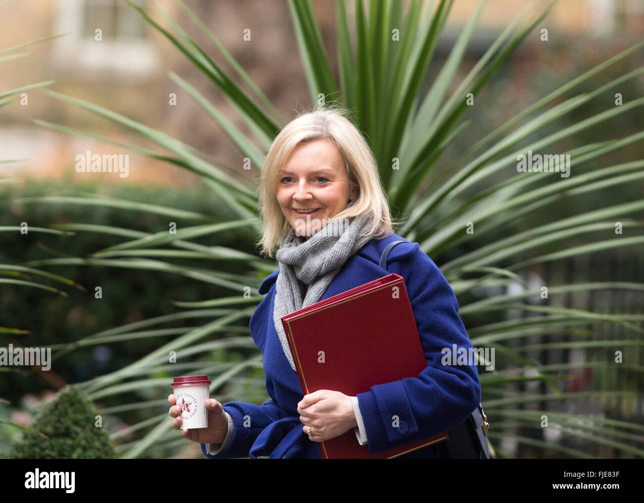 Liz Truss, Staatssekretär für Umwelt, Ernährung und ländliche Angelegenheiten in der Nummer 10 Downing Street für eine Kabinettssitzung Stockfoto