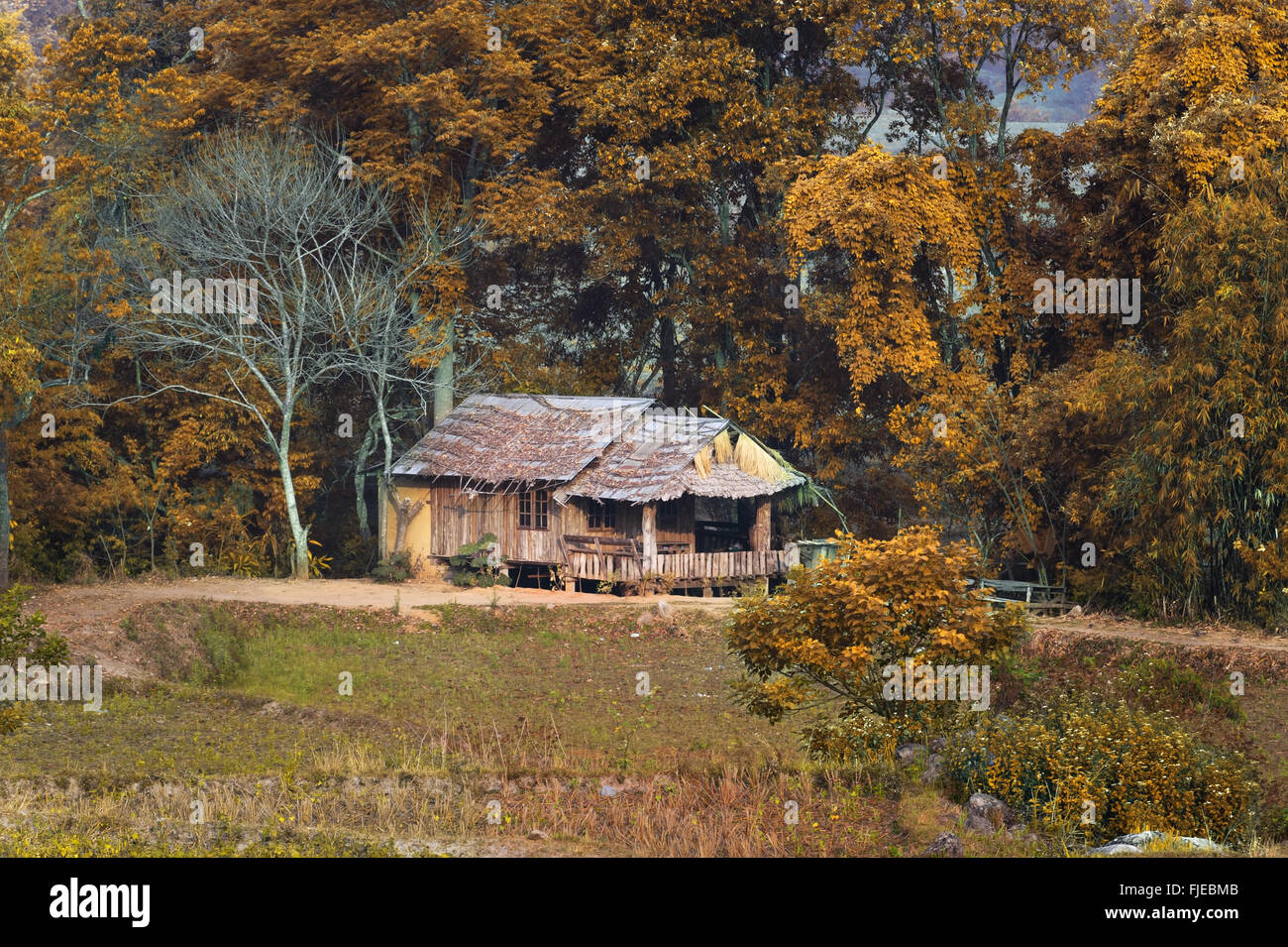 Dekorative gezimmerten Blockhütte unter einem Strohdach in den herbstlichen Wald Stockfoto