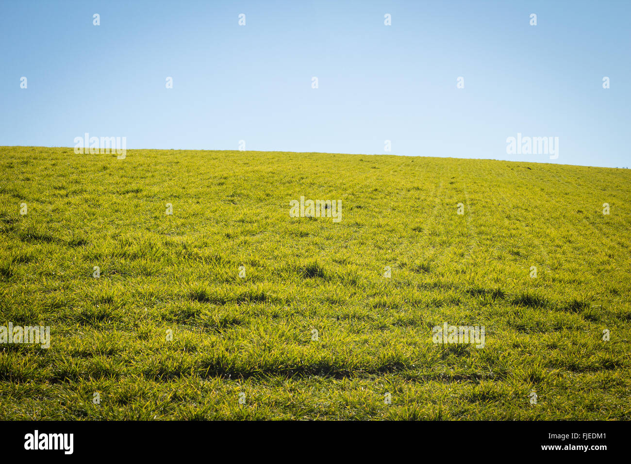 Grüne Hügel über blauen Himmel in Südfrankreich Stockfoto