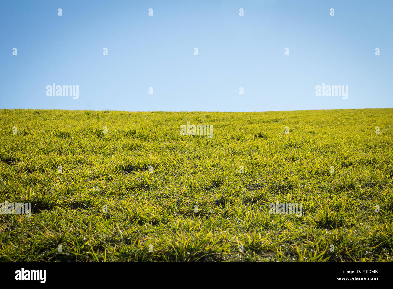 Grüne Hügel über blauen Himmel in Südfrankreich Stockfoto