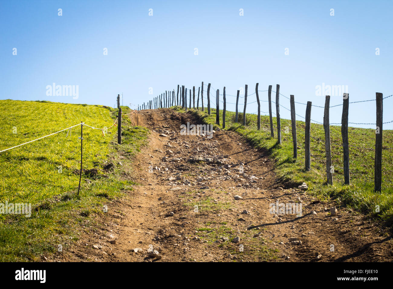 Feldweg im grünen Feld in Südfrankreich Stockfoto