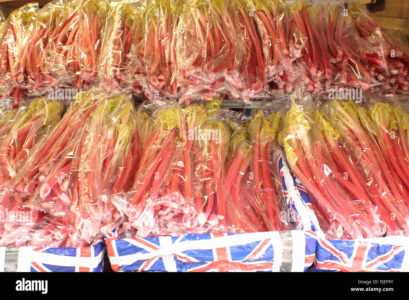 Erzwungene Yorkshire Rhabarber ergibt sich für den Verkauf auf einem Marktstand auf dem Rhabarber und Food Festival im Zentrum der Stadt Wakefield, UK Stockfoto