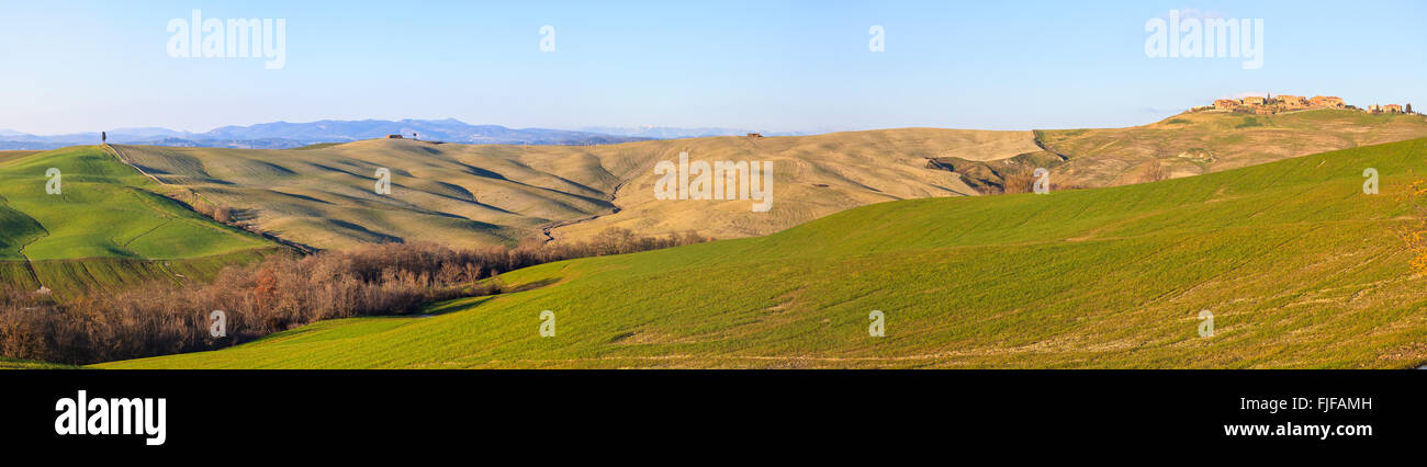 Italienischen Panorama. Zypresse, sanften Hügeln und grünen Wiese, ländlichen Landschaft in Crete Senesi, Siena, Toskana. Italien Stockfoto
