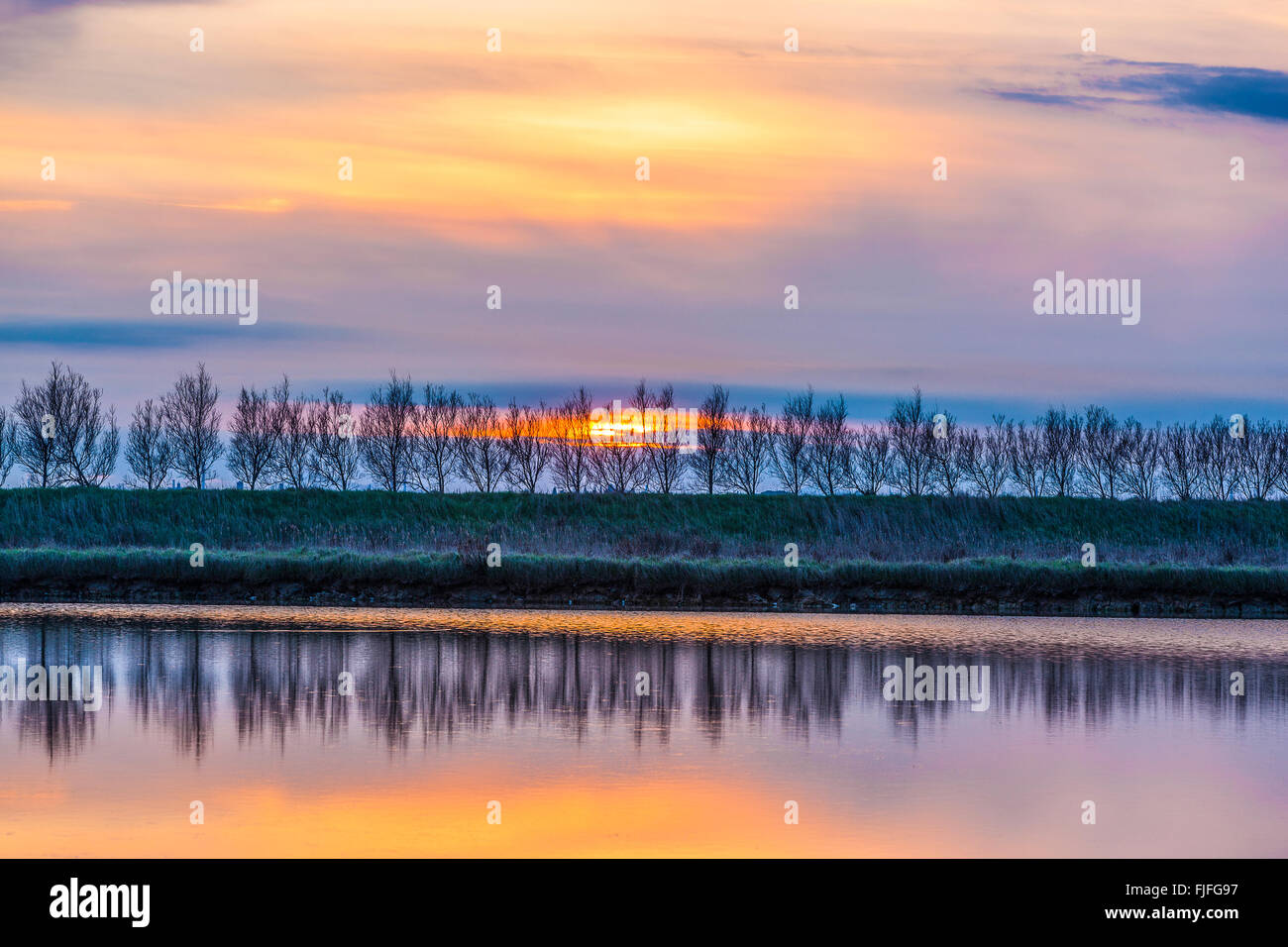 Italien Venetien Venedig Lagune Umgebung von Lio Piccolo Stockfoto