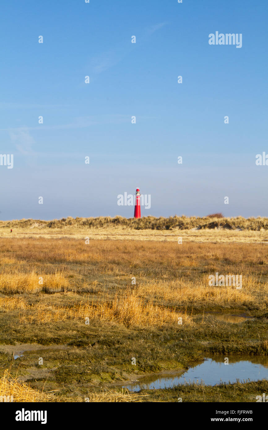 Ein Strand mit Rasen, gewachsen in der Entfernung Dünen und einem roten Leuchtturm auf der niederländischen Insel Schiermonnikoog Stockfoto