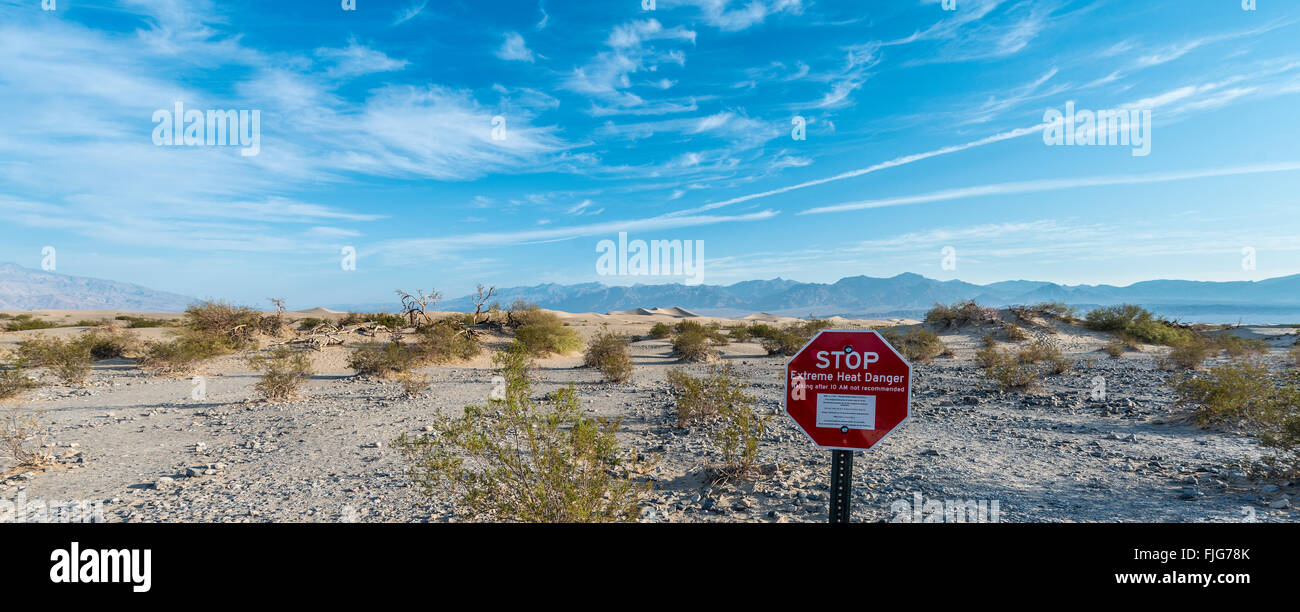 Zeichen Schriftzug "STOP Extreme Hitze Gefahr" Warnung vor Hitze, Kreosot Büsche (Larrea Tridentata) in die flache Mesquite Sand Dunes Stockfoto