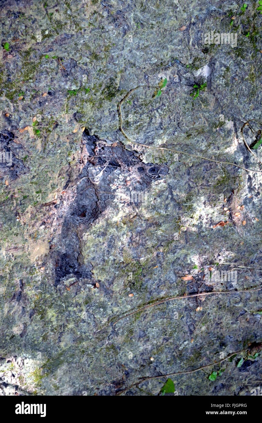 Stein Textur Rock Hintergrund Stockfoto