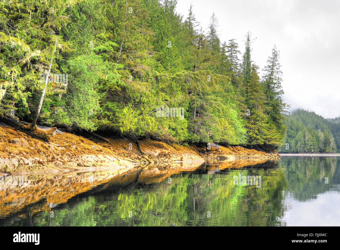 Der Great Bear Rainforest, British Columbia Stockfoto