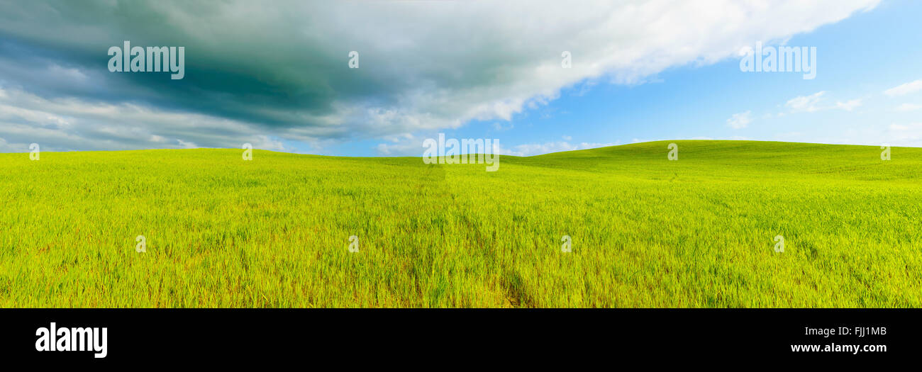 Ländliche Panorama-Hintergrund, sanfte Hügel, bewölktem Himmel und grünen Feldern Landschaft, Crete Senesi, Toskana, Italien. Stockfoto