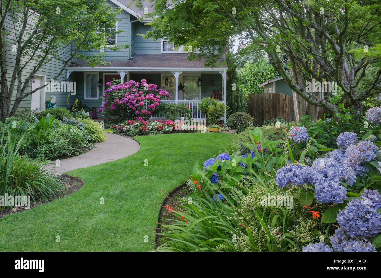 Eingang zu einem Haus durch einen wunderschönen Garten, hervorgehoben durch rosa und blauen Hortensien. Stockfoto