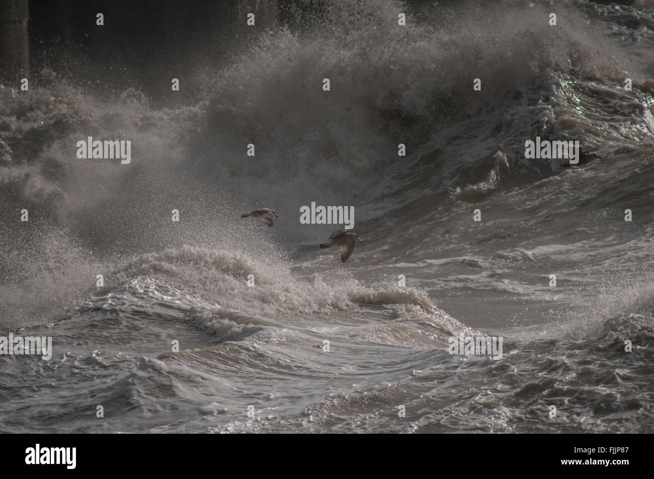 Brighton, Sussex, Großbritannien. März 2016. Storm Jake erstickt es an der Südküste Stockfoto