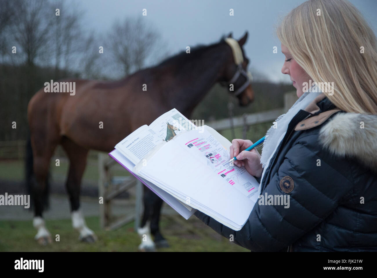 Ankum, Deutschland. 24. Februar 2016. Schülerin Hanna Lagemann Blick über Schulungsmaterial aus ihrer Schule in Ankum, Deutschland, 24. Februar 2016. Hanna nahm Pferdesport Voltigieren als Prüfung Fach für Abitur (A-Level). Foto: FRISO GENTSCH/DPA/Alamy Live-Nachrichten Stockfoto Ankum, Deutschland. 24. Februar 2016. Schülerin Hanna Lagemann Blick über Schulungsmaterial aus ihrer Schule in Ankum, Deutschland, 24. Februar 2016. Hanna nahm Pferdesport Voltigieren als Prüfung Fach für Abitur (A-Level). Foto: FRISO GENTSCH/DPA/Alamy Live-Nachrichten Stockfoto