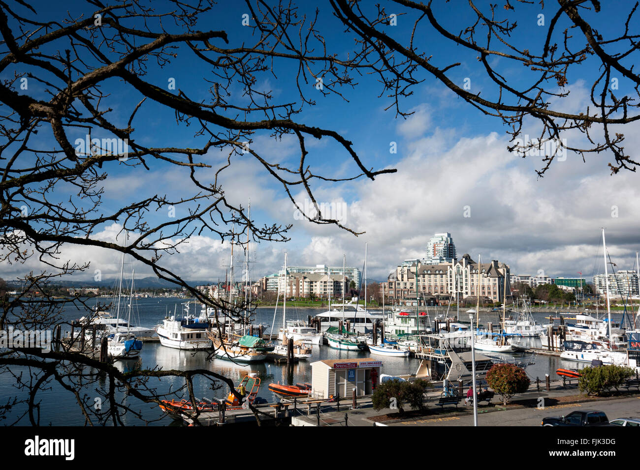 Victoria Harbour - Victoria, Vancouver Island, British Columbia, Kanada Stockfoto