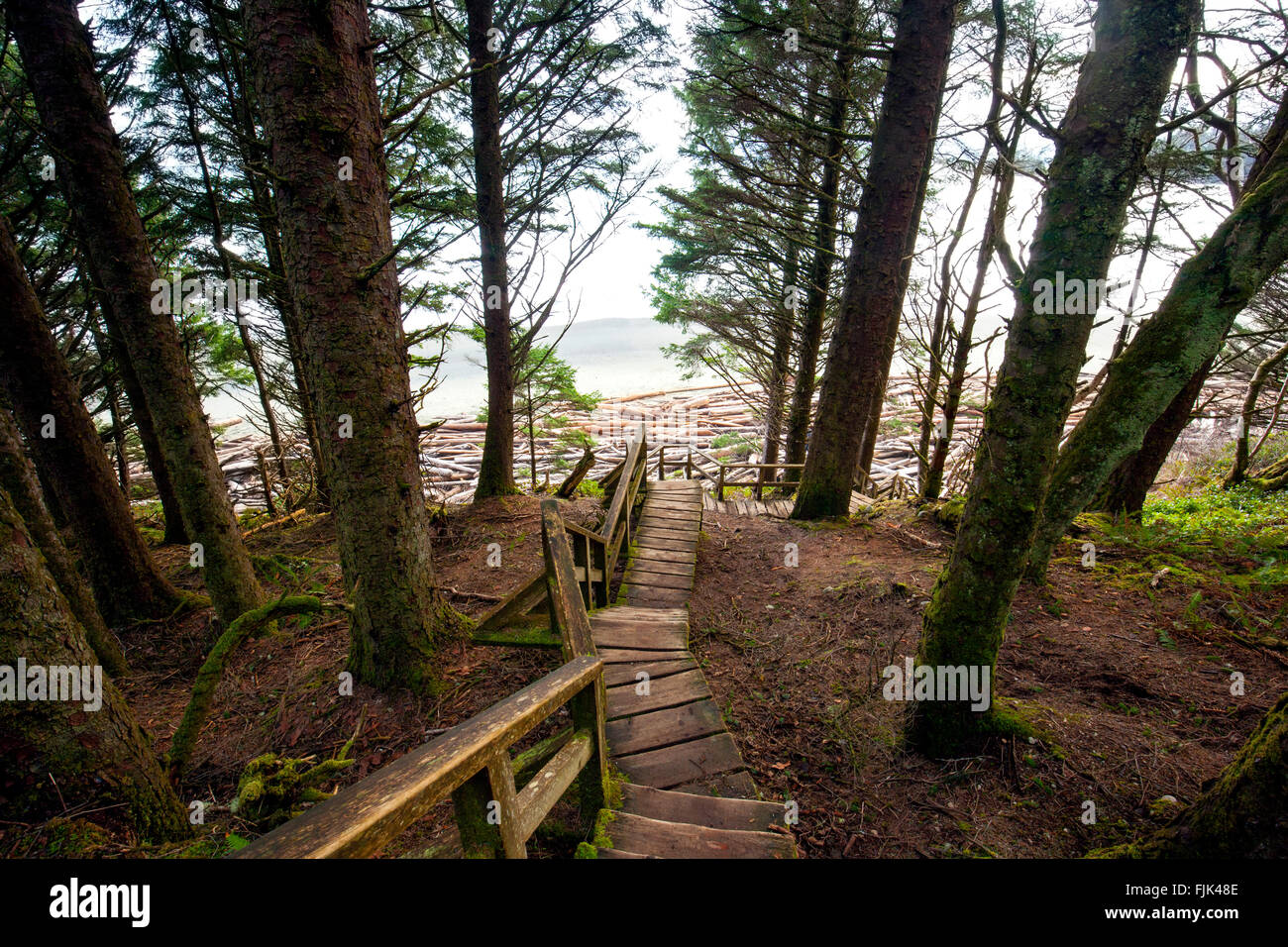 Holztreppe in Florencia Bay (Wreck Beach) - Pacific Rim National Park - in der Nähe von Tofino, Vancouver Island, Britisch-Kolumbien, C Stockfoto