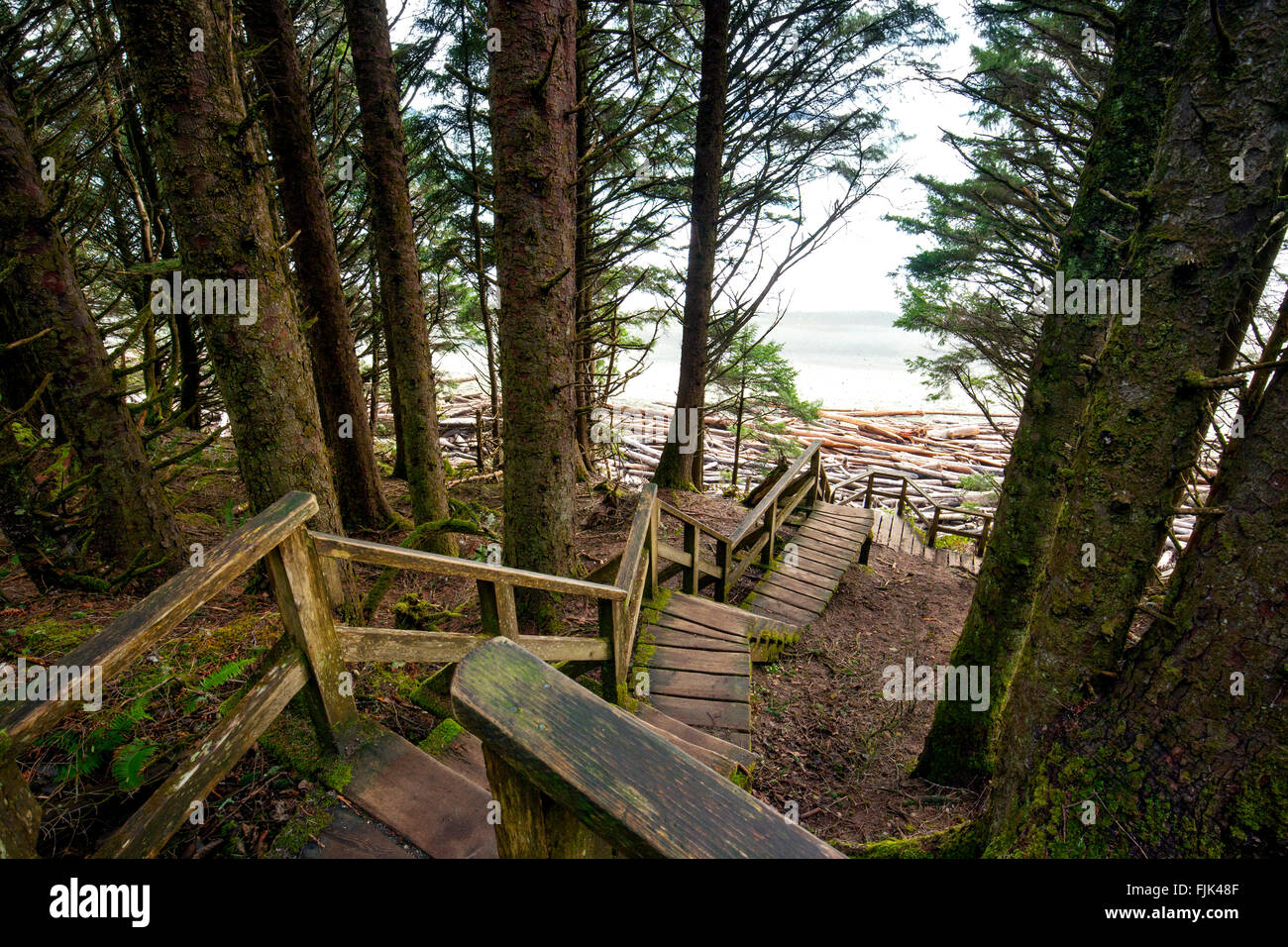 Holztreppe in Florencia Bay (Wreck Beach) - Pacific Rim National Park - in der Nähe von Tofino, Vancouver Island, Britisch-Kolumbien, C Stockfoto