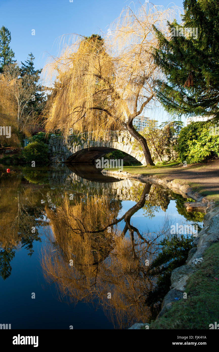 Reflexionen im Teich am Beacon Hill Park, Victoria, Vancouver Island, British Columbia, Kanada Stockfoto