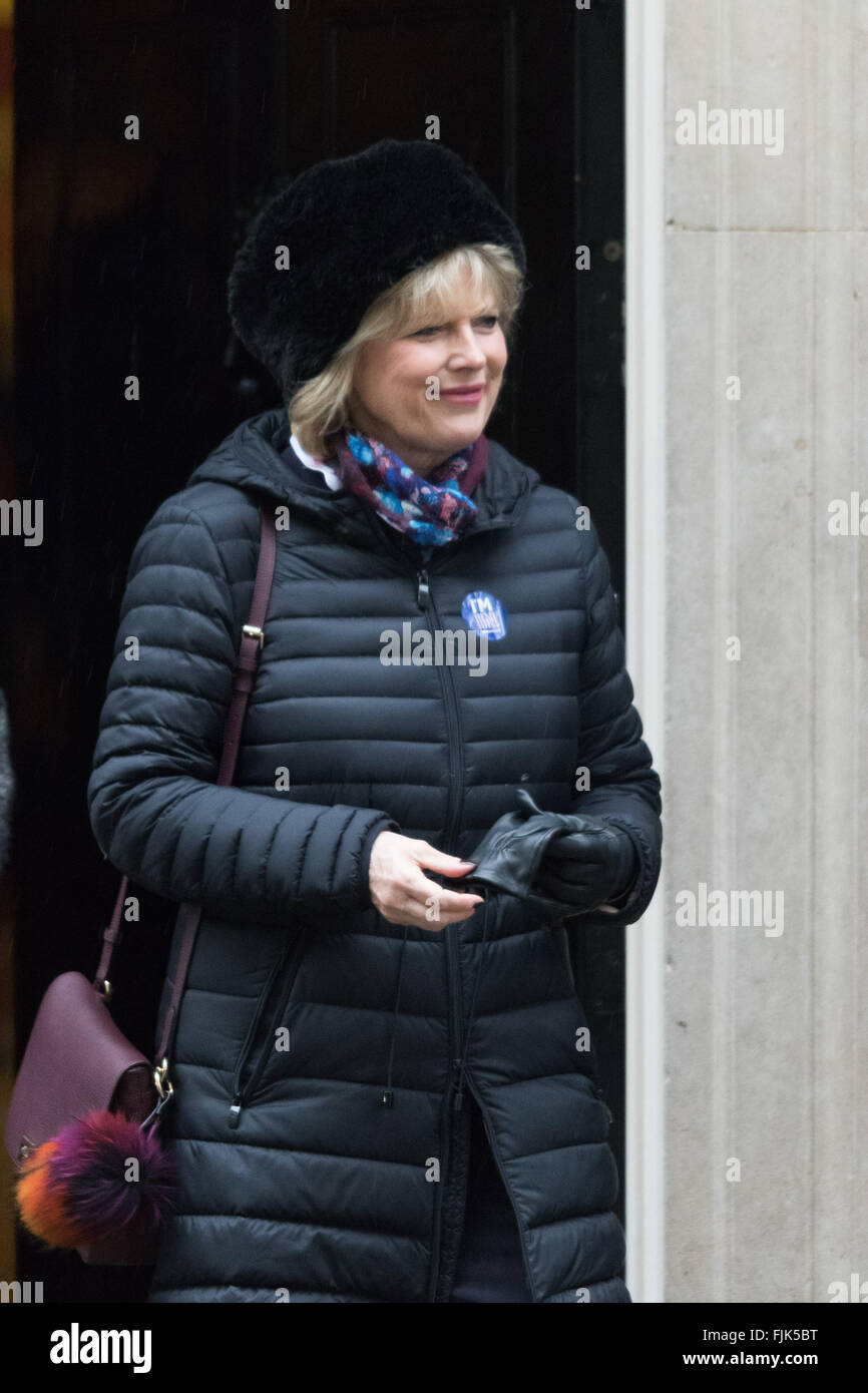 2. März 2016. Minister für Kleinunternehmen, Industrie Anna Soubry verlässt der Kabinettssitzung in 10 Downing Street, London. Stockfoto