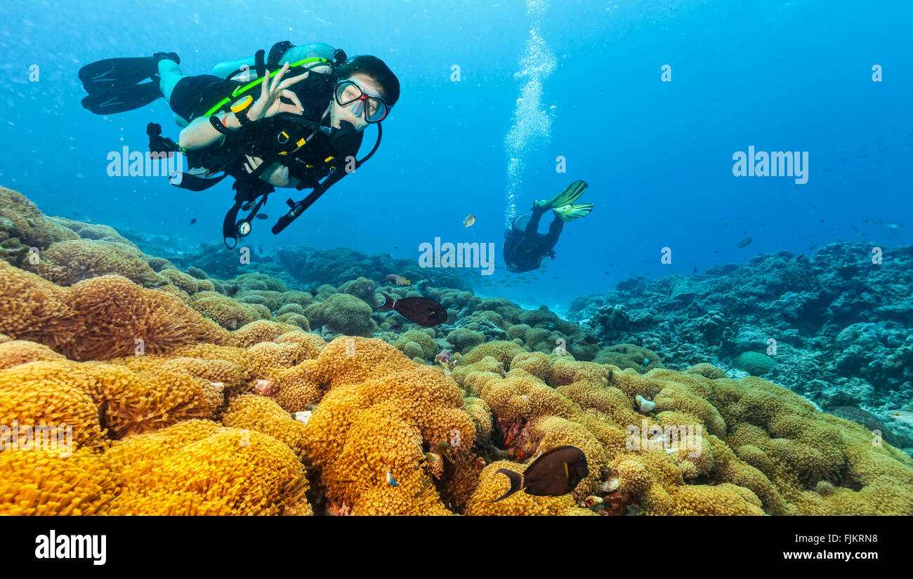 Taucher entdecken ein Korallenriff zeigt ok Sign. Stockfoto