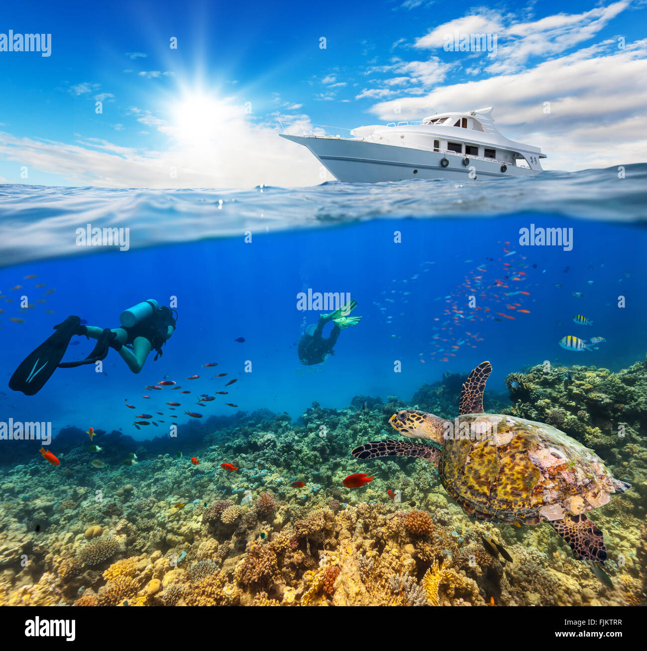 Unterwasser Korallenriff mit Taucher Stockfoto